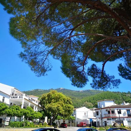 Pension Venta Julian Hca01134 El Bosque Zewnętrze zdjęcie